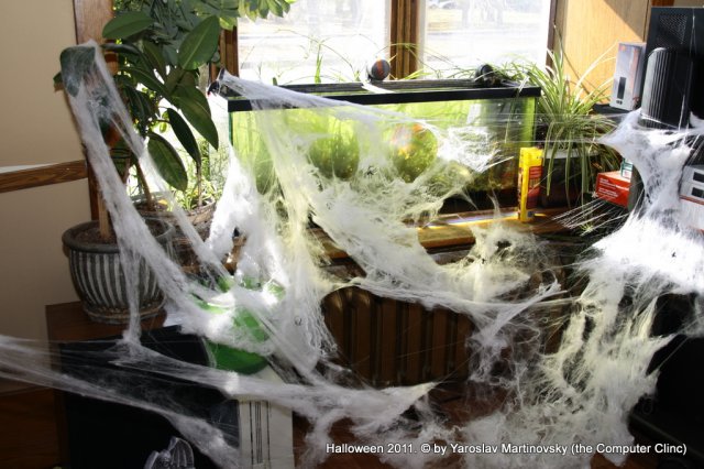 Halloween 2011
