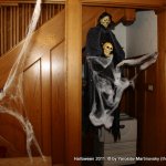 Halloween 2011