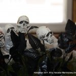Halloween 2011