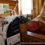 Halloween 2011