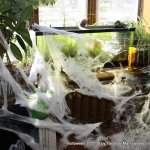 Halloween 2011